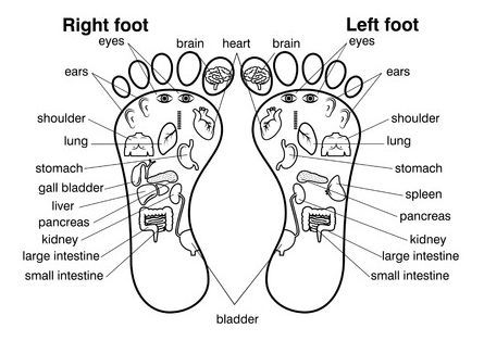 大阪の足つぼスクールが教える足つぼの効果を最大限アップさせる足裏と体の関係とは