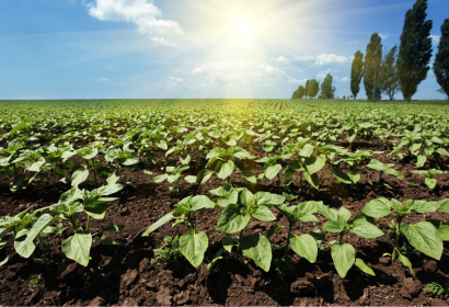 【妊活・不妊の足つぼ】“授かる体”を作るために、本当に大切な３つのこと